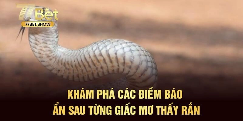 Nằm mơ thấy rắn nên đánh số mấy để giành chiến thắng?