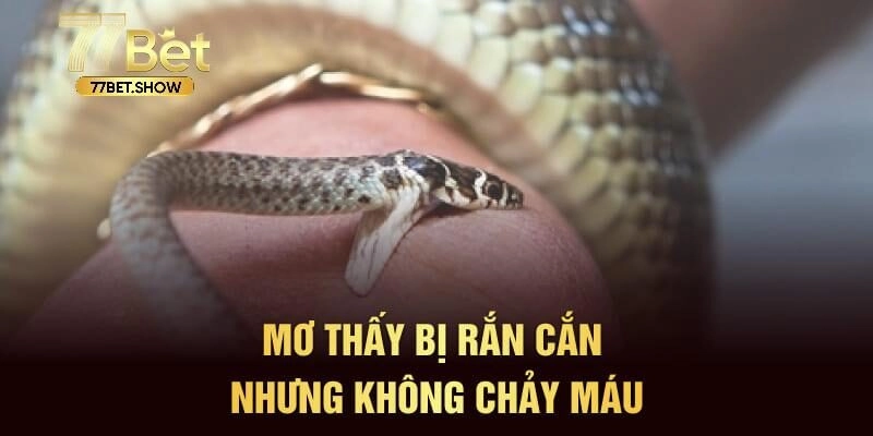 Tìm hiểu ý nghĩa giấc mộng qua hành động của rắn