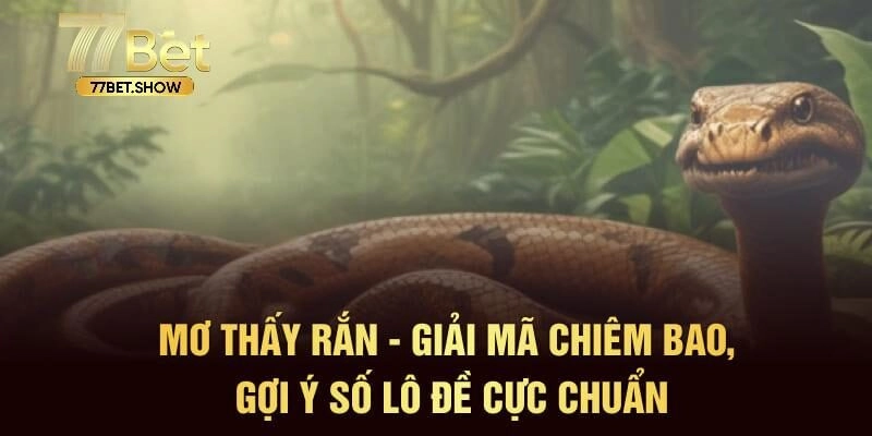 Giải mã giấc mơ thấy rắn qua yếu tố màu sắc